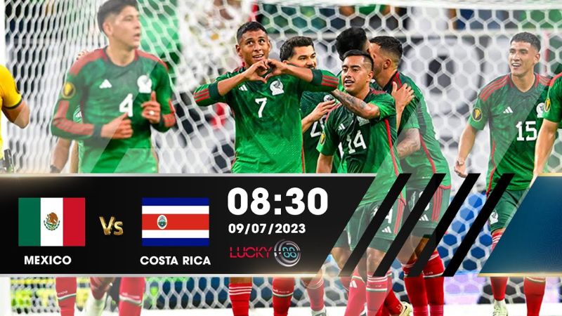 Ứng viên vô địch và phong độ đáng chú ý